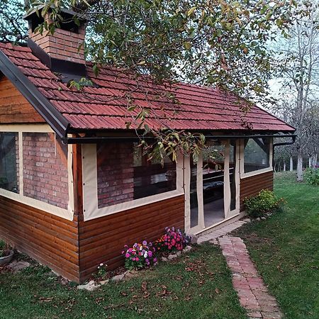 Holiday Home "Sleme" With Jacuzzi, Big Garden And Arbor With Fireplace Skrad Extérieur photo