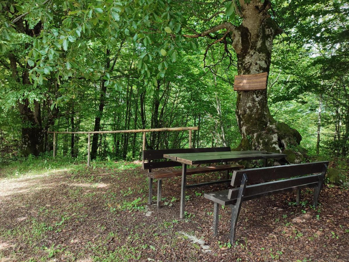 Holiday Home "Sleme" With Jacuzzi, Big Garden And Arbor With Fireplace Skrad Extérieur photo