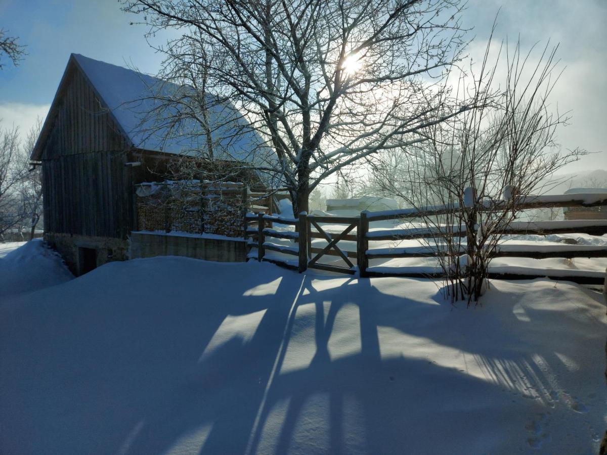 Holiday Home "Sleme" With Jacuzzi, Big Garden And Arbor With Fireplace Skrad Extérieur photo