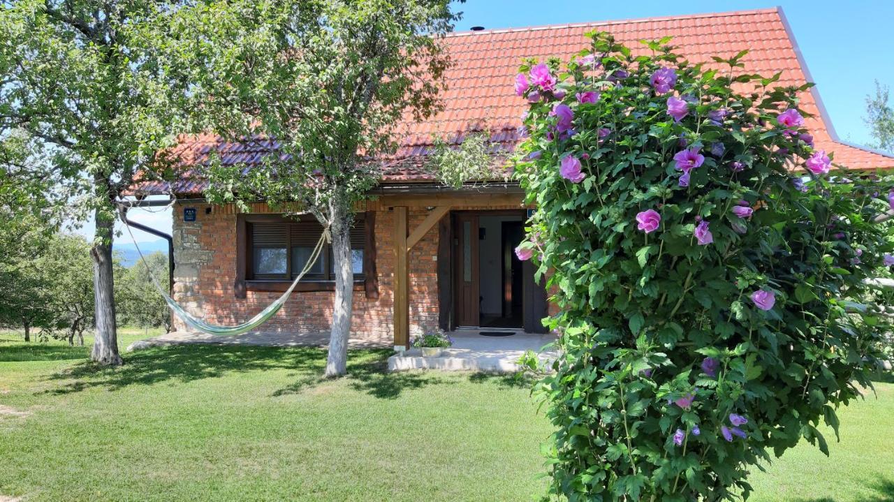 Holiday Home "Sleme" With Jacuzzi, Big Garden And Arbor With Fireplace Skrad Extérieur photo